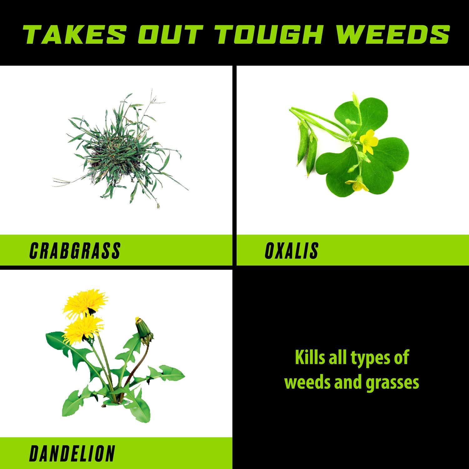Ortho GroundClear Weed and Grass Killer, Ready-to-Use with Comfort Wand, Broadleaf Weed Control for Landscape Beds, Around Vegetable Gardens or Patios, Results in 15 Minutes, OMRI Listed,1 gal. - Image 5