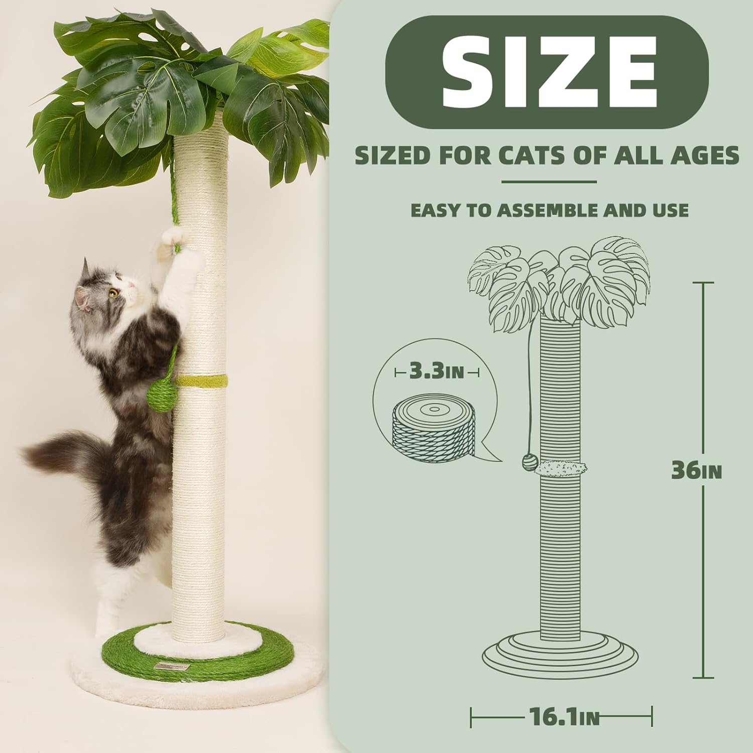 MEOWOOU Cat Scratching Post for Indoor Cats and Kitten, 35” Tall Monstera cat Scratching Post with sisal Hanging Interactive Ball, Suitable for Large Adult cat, Kitten, and All Type of Cats - Image 6
