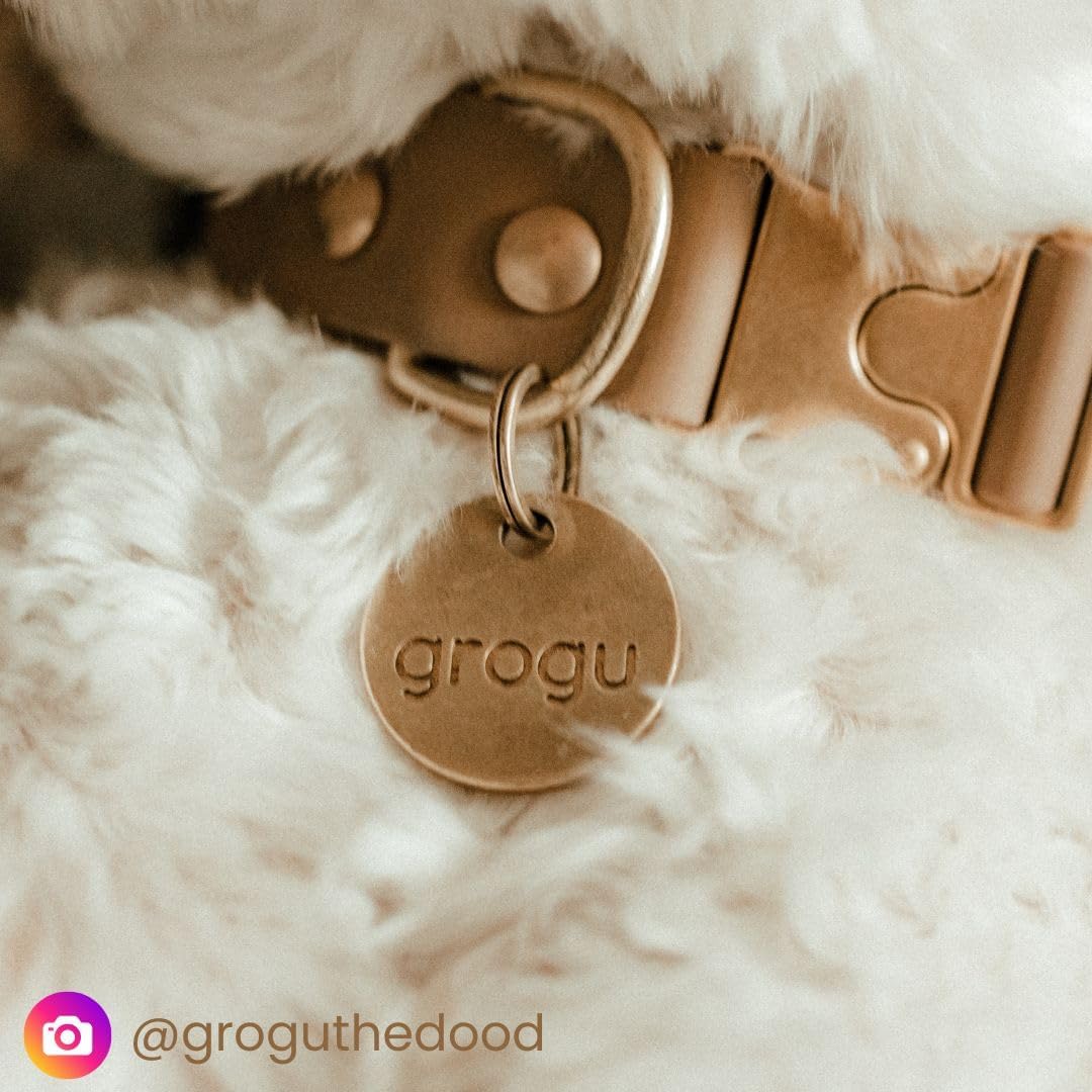 SOLID BRASS PET TAG - Modern, Minimal Pet IDs. Durable, Lifetime tags with deep cut text. Includes space for two phone numbers. (Circle) - Image 6
