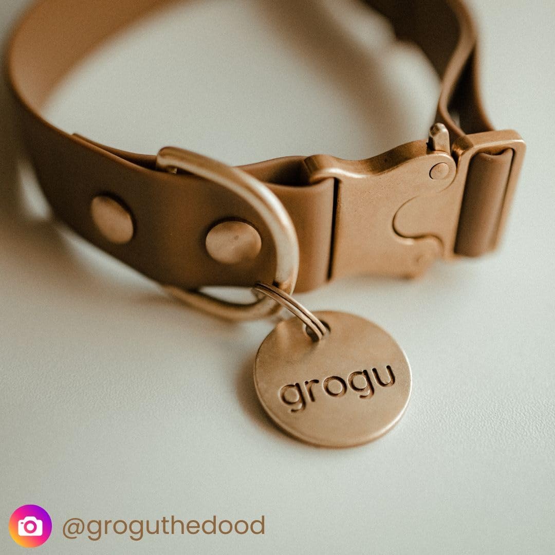 SOLID BRASS PET TAG - Modern, Minimal Pet IDs. Durable, Lifetime tags with deep cut text. Includes space for two phone numbers. (Circle) - Image 7